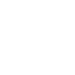 Stat-icon