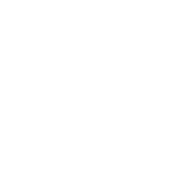 Stat-icon