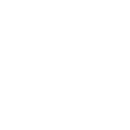Stat-icon