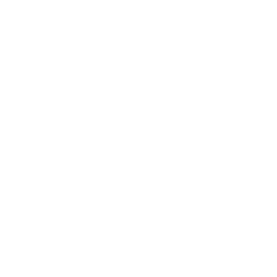Stat-icon