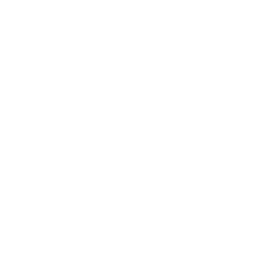 Stat-icon