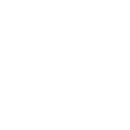 Stat-icon